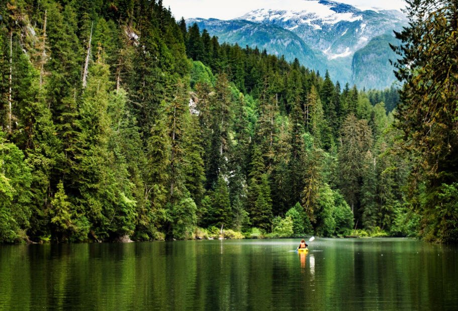 Great Bear Rainforest, British Columbia, Canada
